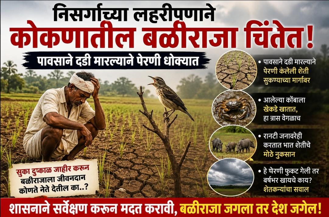 कोकणातील बळीराजा चिंतेत